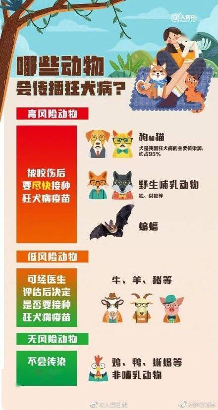 狂犬病一旦发病病死率几乎为100%！关于狂犬病，这些你要知道 (图2)