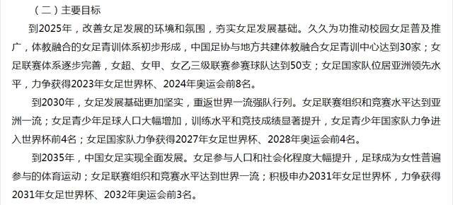 中国将申办2031年女足世界杯 力争获得2031年女足世界杯、2032年奥运会前3名(图1)