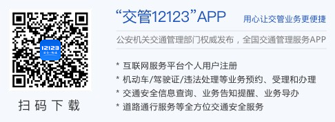 公安部交通安全综合服务管理平台gab.122.gov.cn(图1)