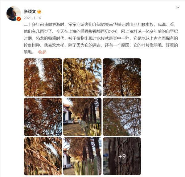 《狂飙》中爆火的张颂文竟曾是“广东省最佳导游”！这些地方都被带火啦(图4)