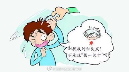 白发多了很焦虑，会“拔一根长十根”吗？ (图1)