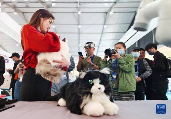 第八届中国机器人峰会开幕 (图3)