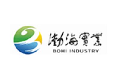 山东渤海实业股份有限公司Shandong Bohi Industry Co., Ltd.(图1)