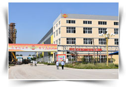 山东阳光颜料有限公司 Shandong Sunshine Pigment Co., Ltd.(图1)