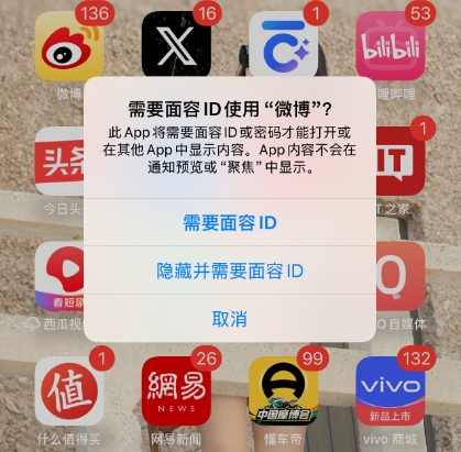 苹果iOS18新增APP密码锁功能，网友：更新的像安卓(图2)