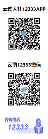 云南省专业技术人才管理服务信息平台https://hrss.yn.gov.cn/zjgl/qt/index/zlsy(图2)