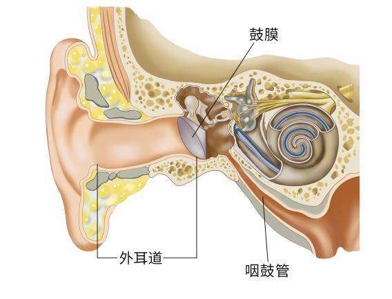 亲一口，鼓膜就破了？有医院1个月接诊十多例！医生提醒 (图1)