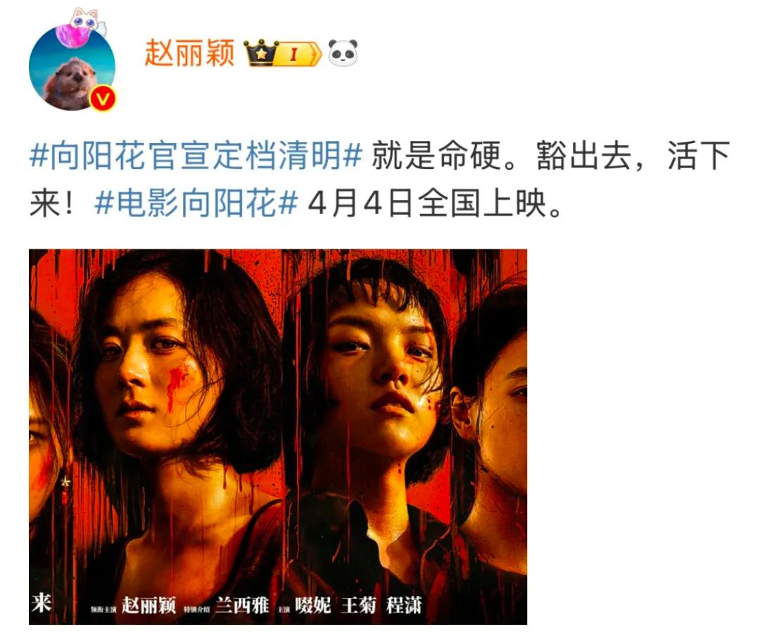 赵丽颖得知对手是假鼻子,选择打下巴!当事演员:她很心疼对手演员(pic3) 赵丽颖得知对手是假鼻子,选择打下巴!当事演员:她很心疼对手演员(pic3)