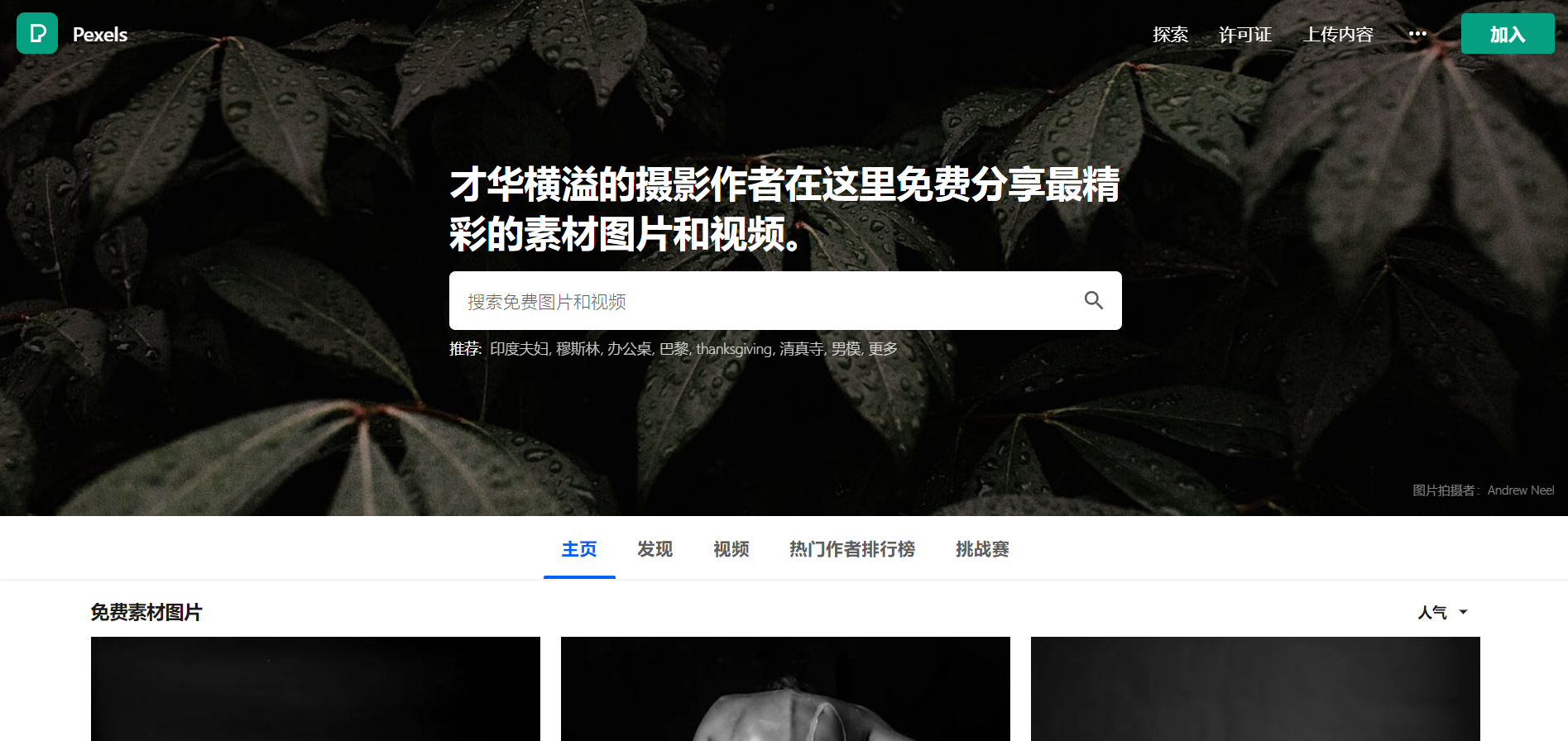 1603374325904492.png Pexels官网www.pexels.com海量共享图片网站(pic1)