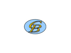 深圳市赛瑞德精工机械技术有限公司  Shenzhen BSG Precision Machine Technology Co.,Ltd.