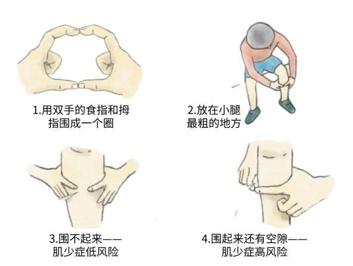 肌肉竟是身体的“抗衰神器”?两招教你轻松“存”肌肉 (pic1) 肌肉竟是身体的“抗衰神器”?两招教你轻松“存”肌肉 (pic1)