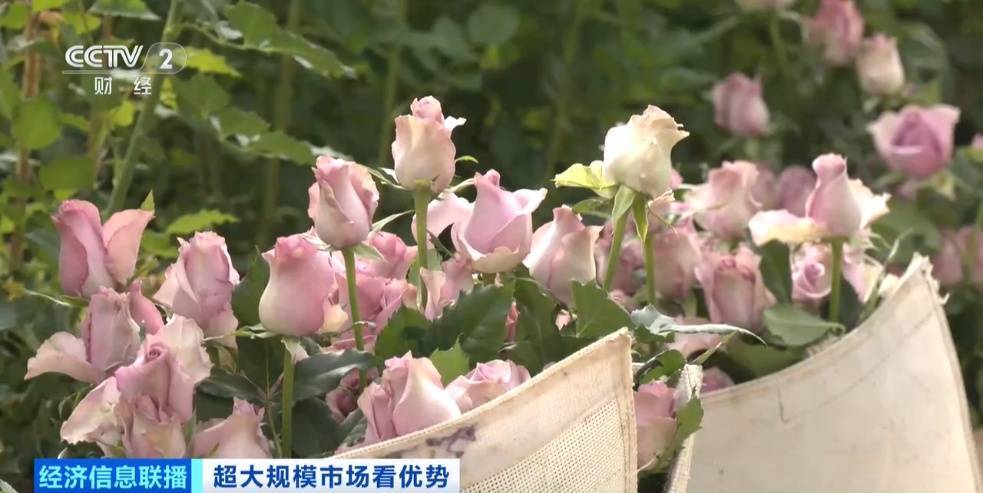 世界之最!这个超大规模市场,加速狂飙→ (pic1) 世界之最!这个超大规模市场,加速狂飙→ (pic1)
