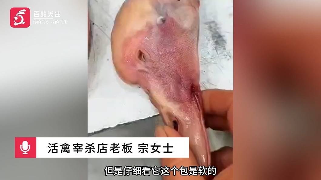 挂鹅头卖鸭肉?顾客买到两只假大鹅:不仔细看都看不出来 (pic2) 挂鹅头卖鸭肉?顾客买到两只假大鹅:不仔细看都看不出来 (pic2)