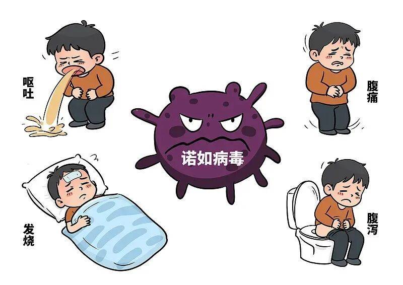 上吐下泻别误判!诺如病毒高发季, 这些防控要点请收好 (pic2) 上吐下泻别误判!诺如病毒高发季, 这些防控要点请收好 (pic2)