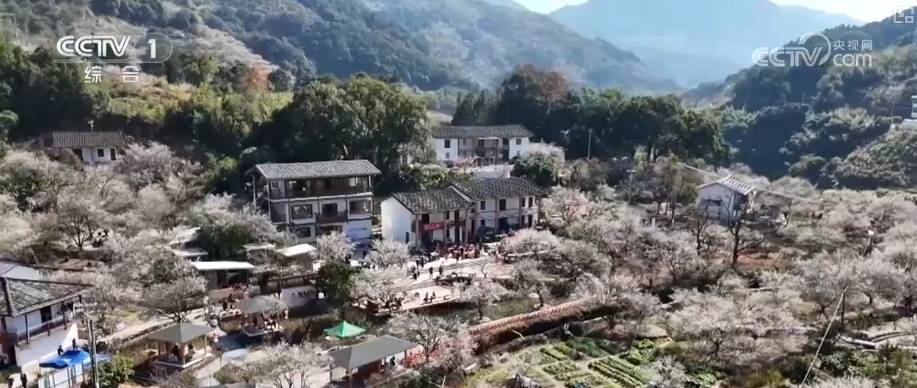 “土味消费”圈粉!特色乡村文旅点燃经济热引擎 为振兴开局注入蓬勃新动能 (pic6) “土味消费”圈粉!特色乡村文旅点燃经济热引擎 为振兴开局注入蓬勃新动能 (pic6)