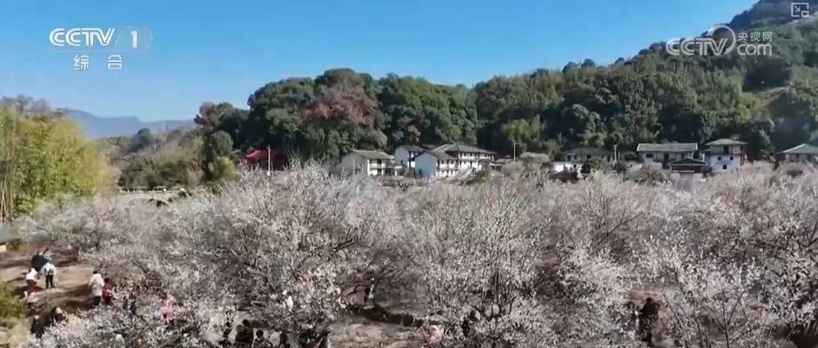 “土味消费”圈粉!特色乡村文旅点燃经济热引擎 为振兴开局注入蓬勃新动能 (pic9) “土味消费”圈粉!特色乡村文旅点燃经济热引擎 为振兴开局注入蓬勃新动能 (pic9)