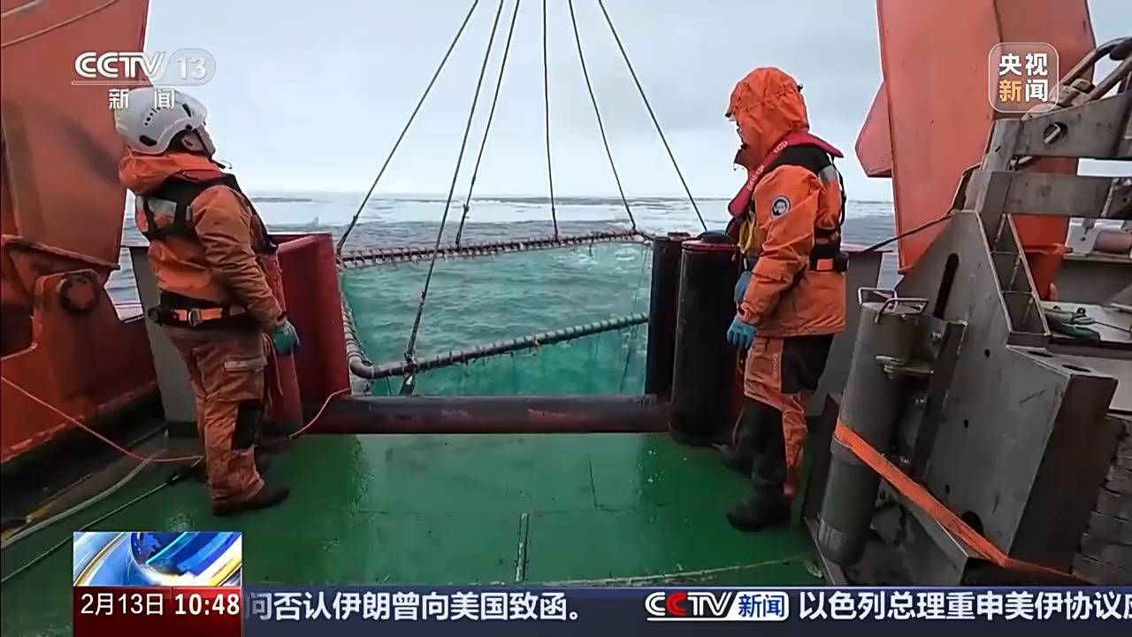 中国南极考察又有新发现!中层鱼拖网获取的珍贵样品都有啥? (pic4) 中国南极考察又有新发现!中层鱼拖网获取的珍贵样品都有啥? (pic4)