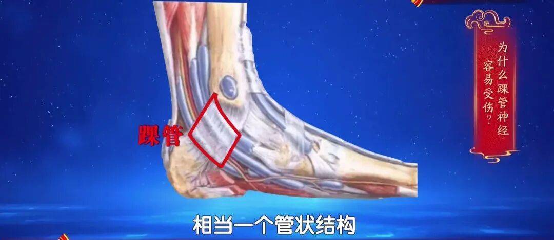 走路多了脚疼不正常？医生：这种疼可能是神经在报警，两个小妙招，轻松护足 (pic4)