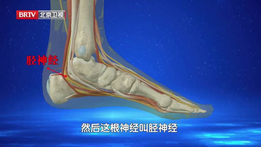 走路多了脚疼不正常？医生：这种疼可能是神经在报警，两个小妙招，轻松护足 (pic6)