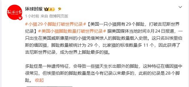 美国一只小猫拥有29个脚趾,打破吉尼斯世界纪录,比家猫的标准数量多 11 个 (pic2) 美国一只小猫拥有29个脚趾,打破吉尼斯世界纪录,比家猫的标准数量多 11 个 (pic2)